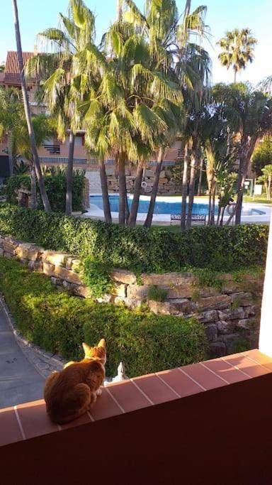 Planta Baja Cerca De La Playa Casares Costa Lejlighed Eksteriør billede